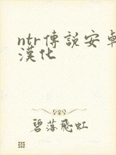 ntr传说安卓汉化