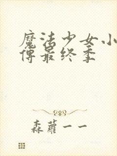 魔法少女小圆外传最终季