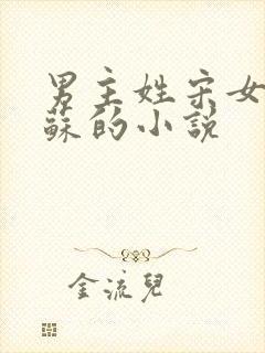 男主姓宋女主姓苏的小说