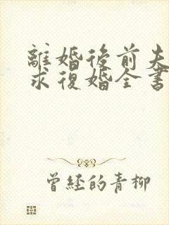 离婚后前夫哭着求复婚全书