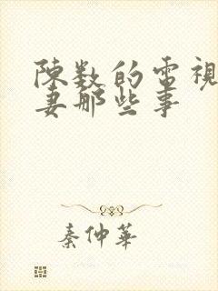 陈数的电视剧夫妻那些事