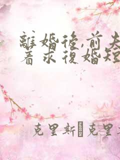 离婚后,前夫哭着求复婚短剧