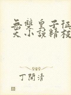 无双皇子征战诸天小说精校