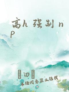 高h 强制 np