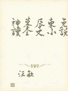 神墓辰东免费阅读全文小说