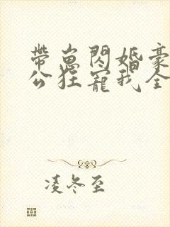 带崽闪婚豪门老公狂宠我全集