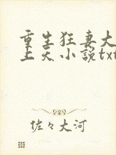 重生狂妻大佬宠上天小说txt