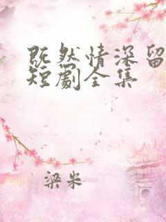 既然情深留不住短剧全集