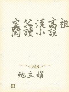 家父汉高祖在线阅读小说