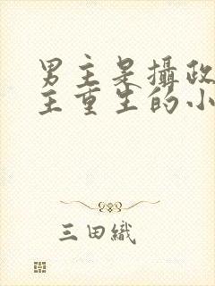 男主是摄政王女主重生的小说