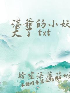 湛爷的小妖精长大了 txt