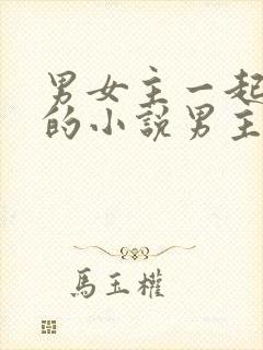 男女主一起穿越的小说男主是皇上