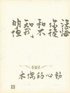 明知和你没结局但我不后悔深爱过你是什么歌