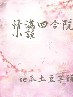 情满四合院原版小说