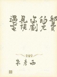 遇见你的那一天电视剧免费观看高清