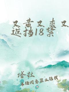 又黄又爽又色无遮挡18禁