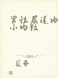 男性尿道内口长小肉粒