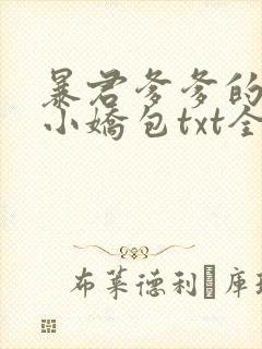 暴君爹爹的团宠小娇包txt全本