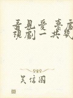 看见爱 台剧电视剧一共几集啊