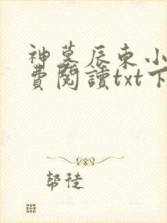 神墓辰东小说免费阅读txt下载