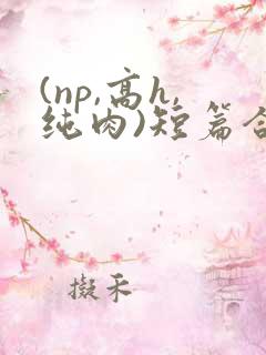 (np,高h,纯肉)短篇合集