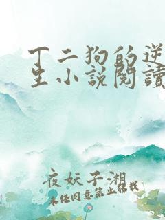 丁二狗的逆袭人生小说阅读