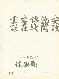 袁容锦沈安翊小说在线阅读