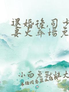 退婚后,司少追妻火葬场免费阅读