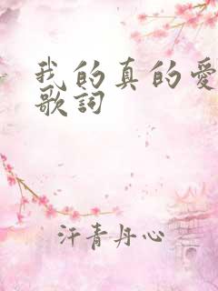 我的真的爱上你歌词