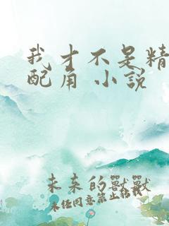 我才不是精灵文配角 小说