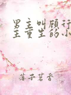 男主叫顾行渊女主重生的小说