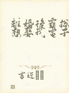 离婚后霸总天天想娶我电子书