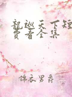 龙巡天下短剧免费看全集