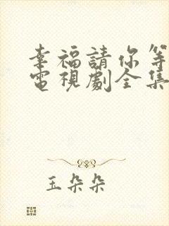 幸福请你等等我电视剧全集免费观看26集