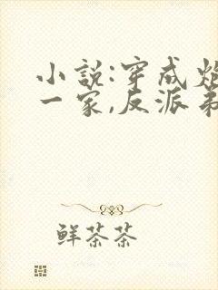 小说:穿成炮灰一家,反派弟弟忙开荒