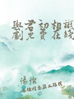 与君初相识电视剧免费在线观看完