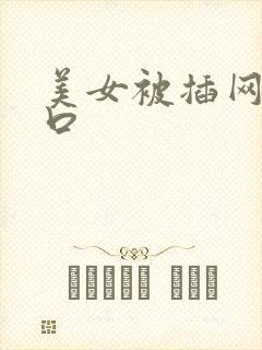 美女被插网站入口