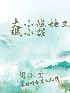 大小姐她又美又飒小说