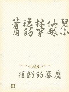 萧逸林仙儿为主角的穿越小说名字叫什么