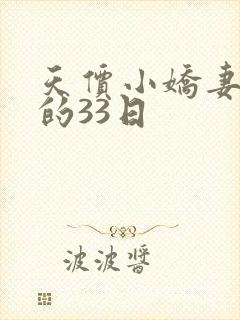 天价小娇妻总裁的33日