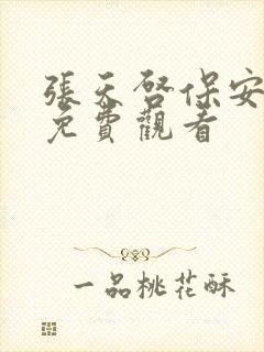 张天启保安短剧免费观看