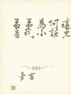 弟弟为何这样看着我小说免费阅读