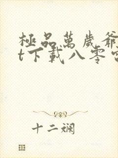 极品万岁爷txt下载八零电子书