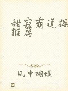 甜宠霸道总裁文推荐