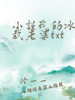 小说我的冰山总裁老婆txt