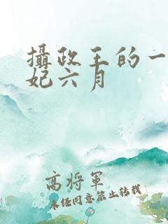 摄政王的一品狂妃六月