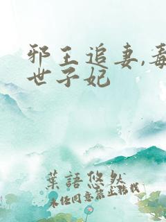 邪王追妻,毒医世子妃