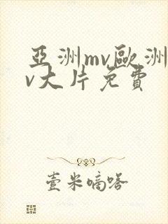 亚洲mv欧洲mv大片免费