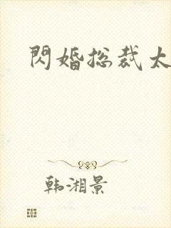 闪婚总裁太霸道