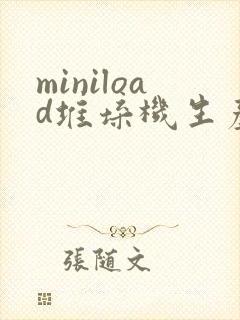 miniload堆垛机生产厂家